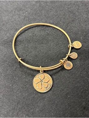 Alex and ani bundle